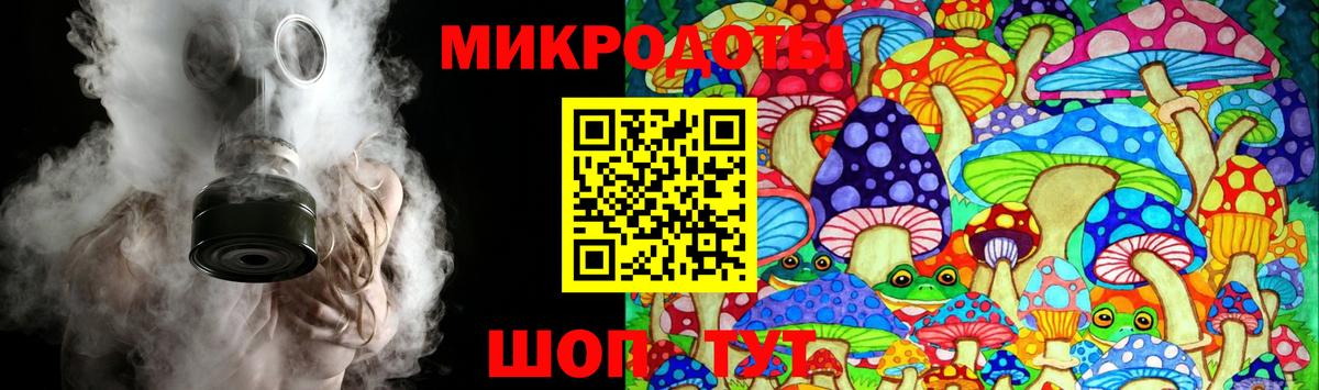 Галлюциногенные грибы Psilocybe  Вход с VPN  Обнинск 